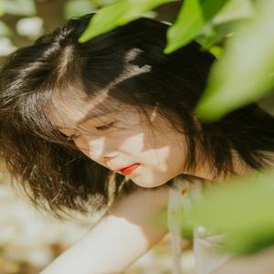 晏青梦