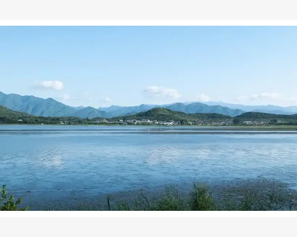 百合莲子银耳羹清肺，为你带来健康呵护与美味享受