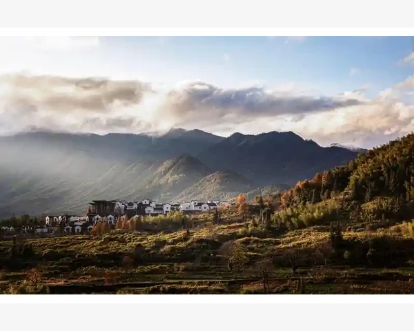 脾胃虚寒按摩：呵护身体健康，畅享舒适生活