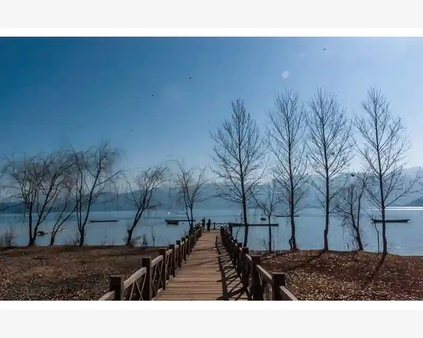 清肺祛痰，喝汤熬药助健康